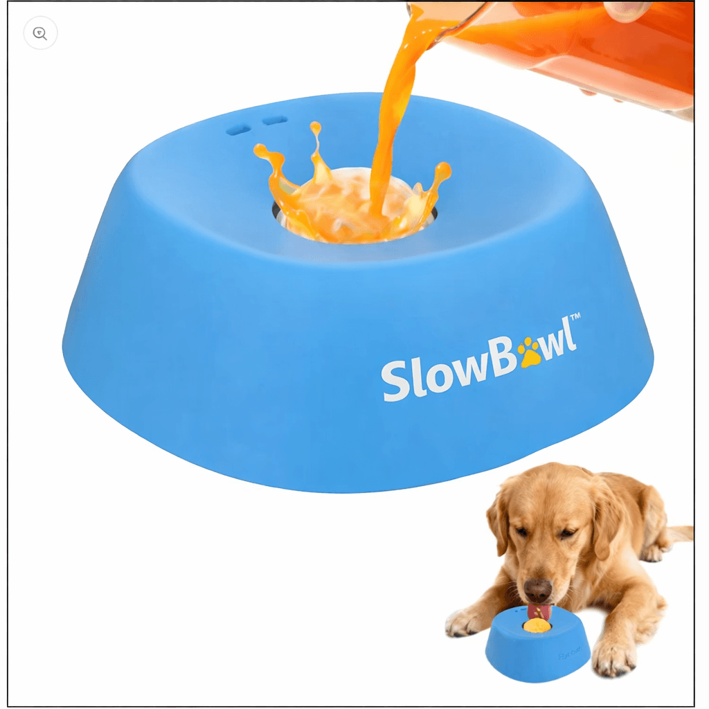 SlowBowl™ – Zdrowy Posiłek Bez Pośpiechu. Stop Wzdęciom i Skrętowi Żołądka