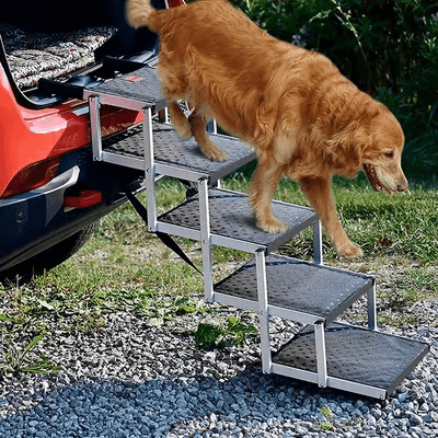 PupStep - Schodki dla Psa